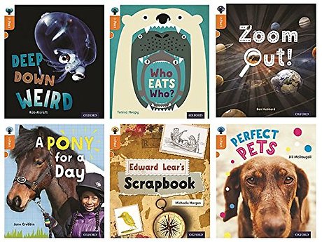 Oxford Reading Tree inFact: Level 6: Class Pack of 36
