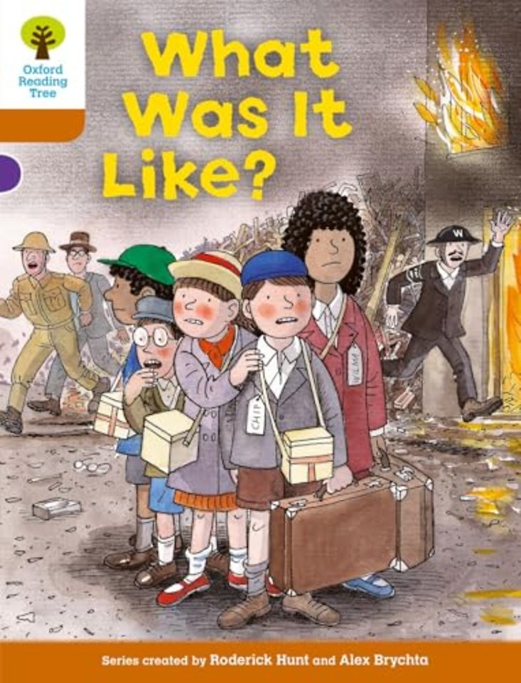 Oxford Reading Tree: Level 8: More Stories: What Was It Like?