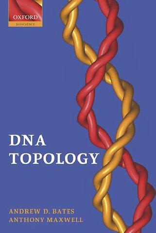 DNA Topology