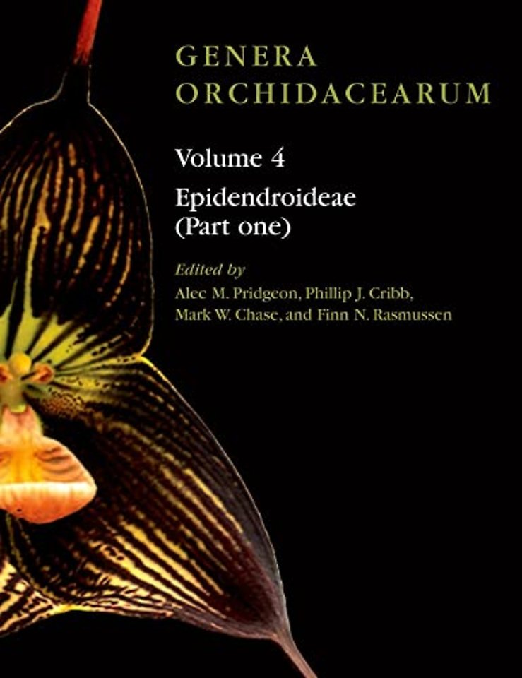 Genera Orchidacearum Volume 4