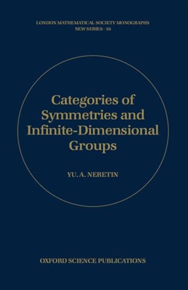 Categories of Symmetries and Infinite-Dimensional Groups