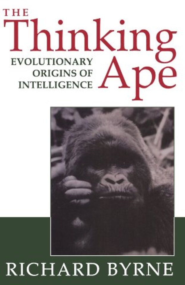 The Thinking Ape