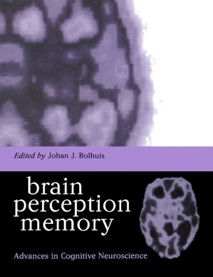 Brain, Perception, Memory