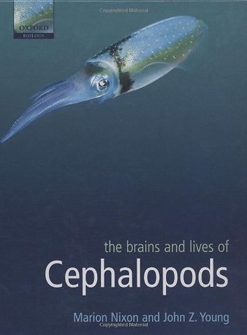The Brains and Lives of Cephalopods