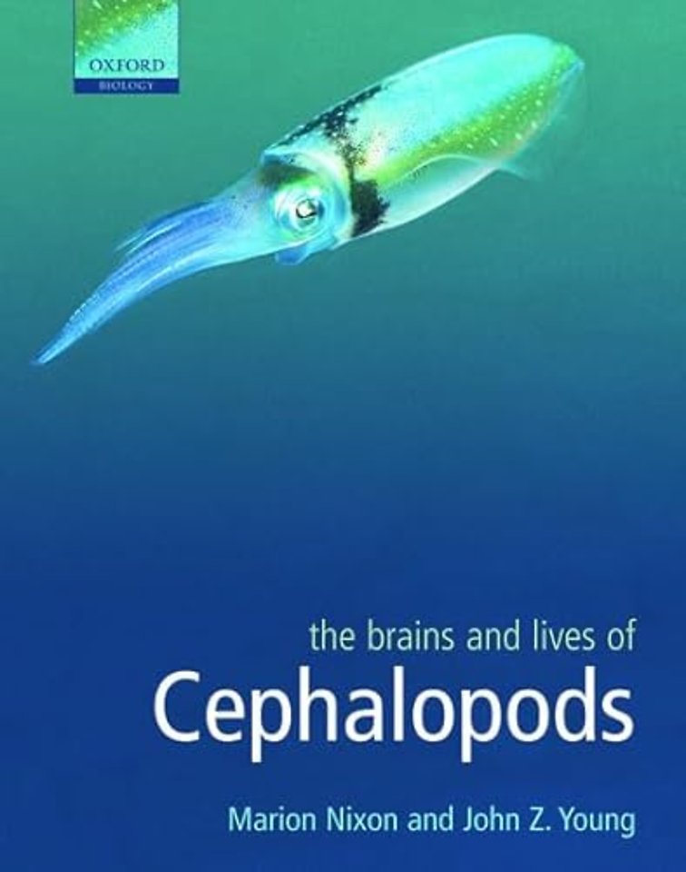 The Brains and Lives of Cephalopods