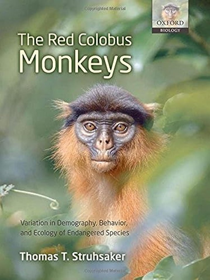 The Red Colobus Monkeys