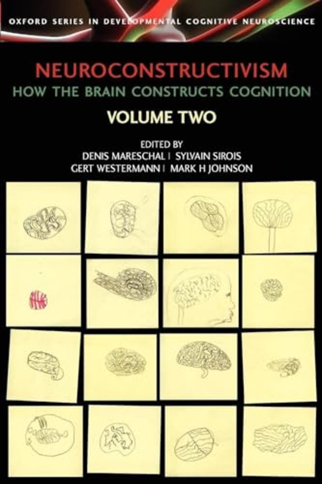 Neuroconstructivism - II