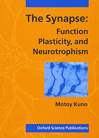 The Synapse