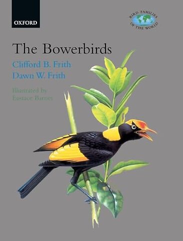 The Bowerbirds