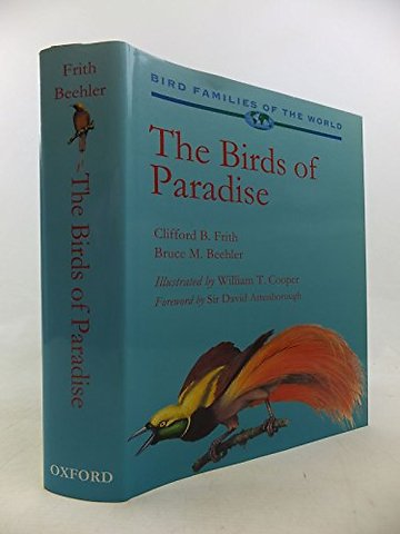 Birds of Paradise