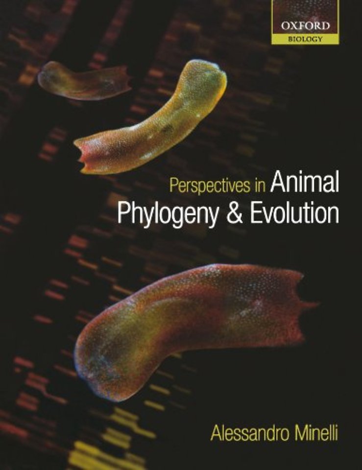 Perspectives in Animal Phylogeny and Evolution