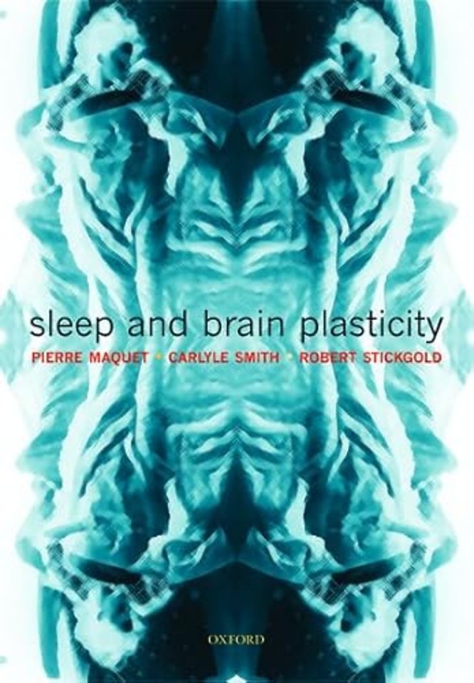 Sleep and Brain Plasticity