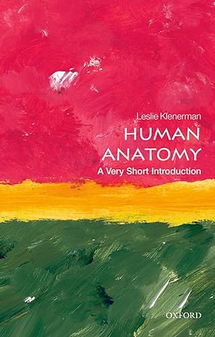 Human Anatomy