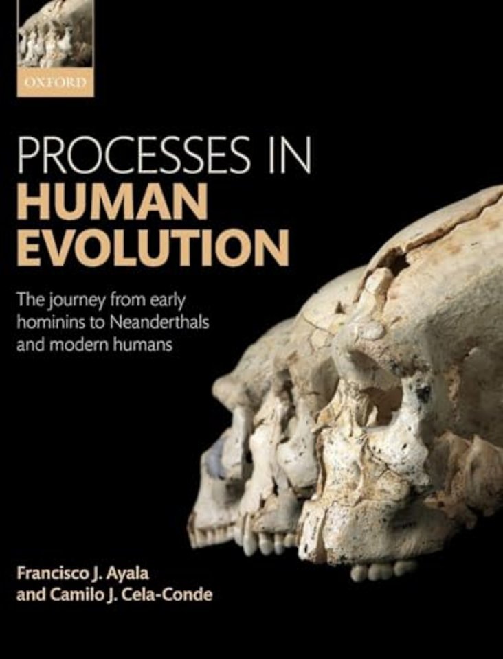 Processes in Human Evolution