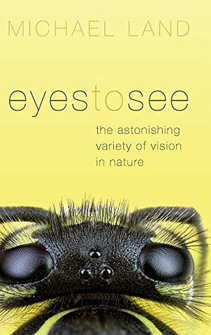 Eyes to See