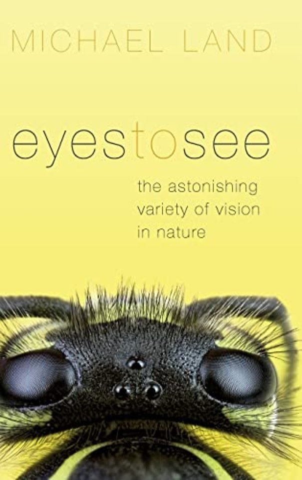Eyes to See