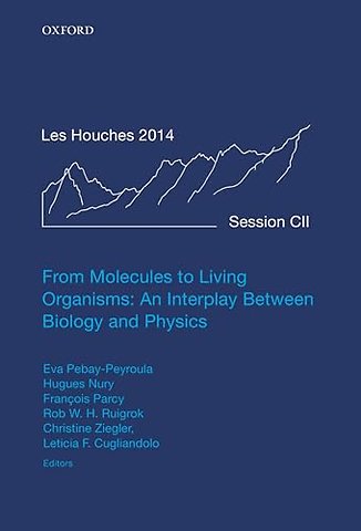 From Molecules to Living Organisms: An Interplay Between Biology and Physics
