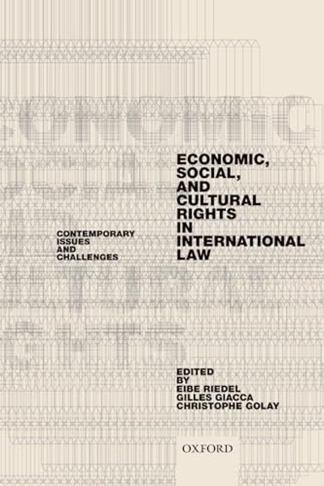 Economic, Social, and Cultural Rights in International Law