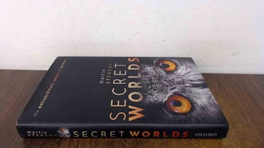 Secret Worlds