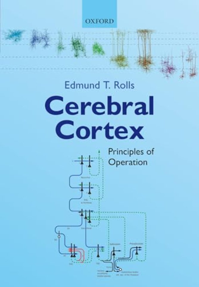 Cerebral Cortex