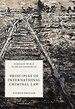 Principles of International Criminal Law Principles of International Criminal Law