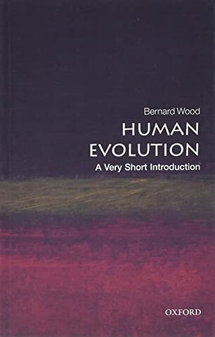 Human Evolution