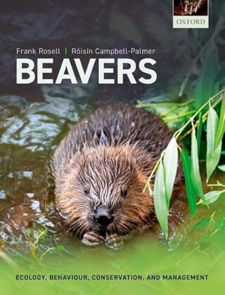Beavers