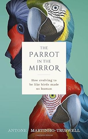 The Parrot in the Mirror