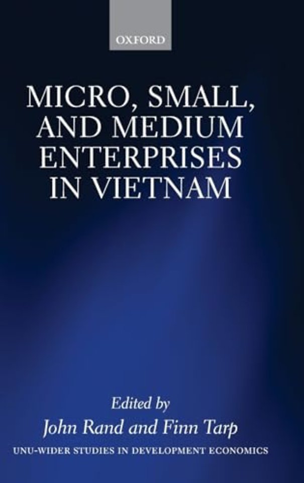 Micro, Small, and Medium Enterprises in Vietnam