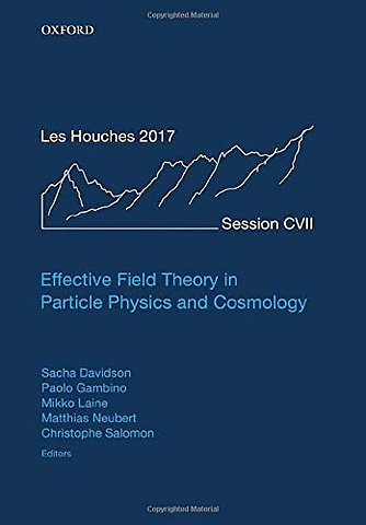 Effective Field Theory in Particle Physics and Cosmology