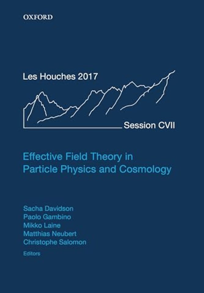 Effective Field Theory in Particle Physics and Cosmology