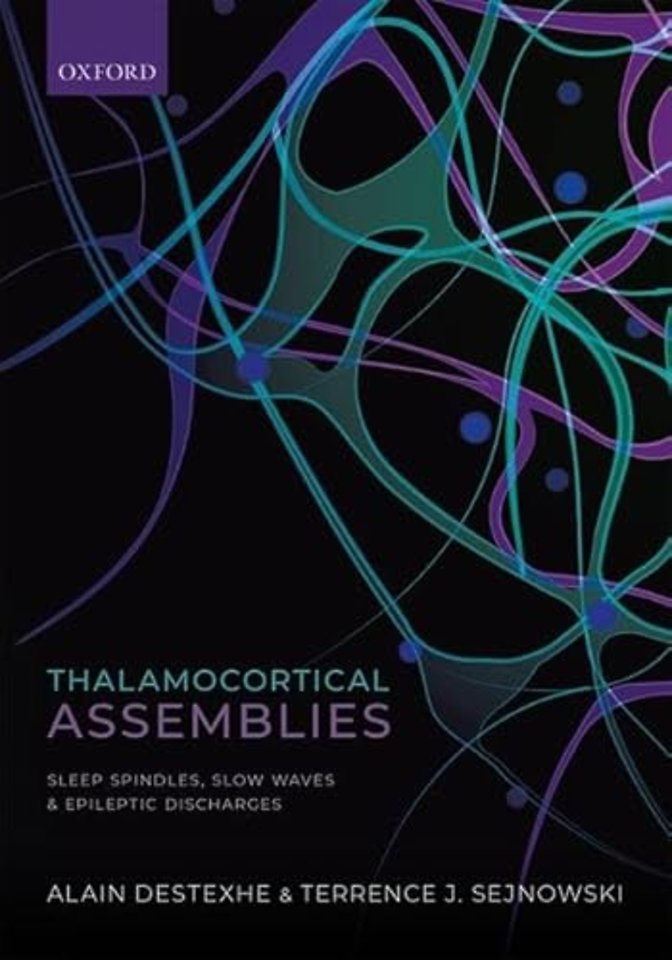 Thalamocortical Assemblies