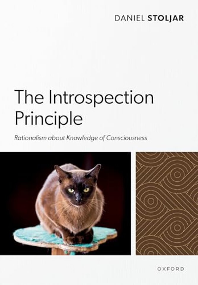 The Introspection Principle