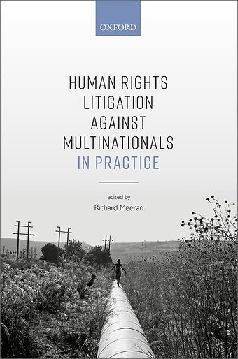 Human Rights Litigation against Multinationals in Practice
