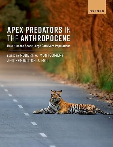 Apex Predators in the Anthropocene