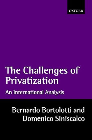 The Challenges of Privatization