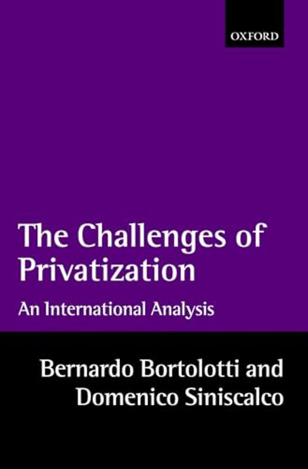 The Challenges of Privatization