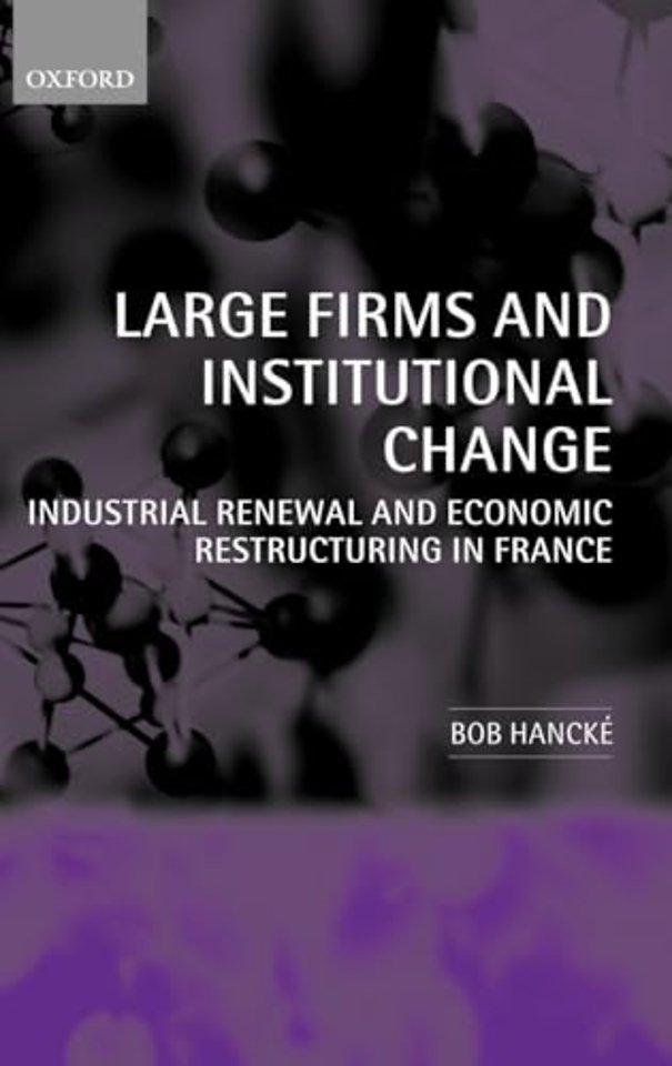 Large Firms and Institutional Change