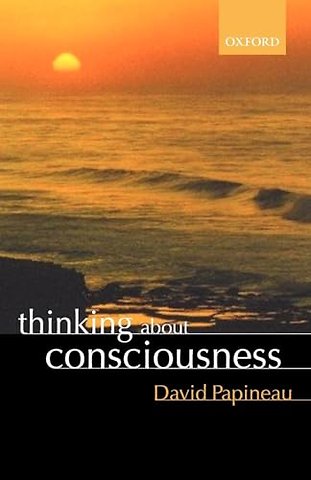 Thinking about Consciousness