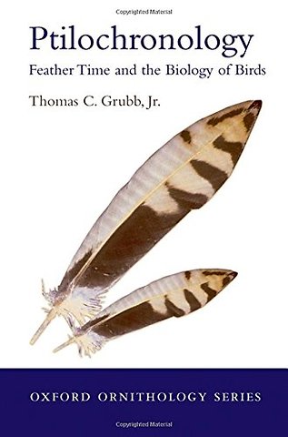 Ptilochronology