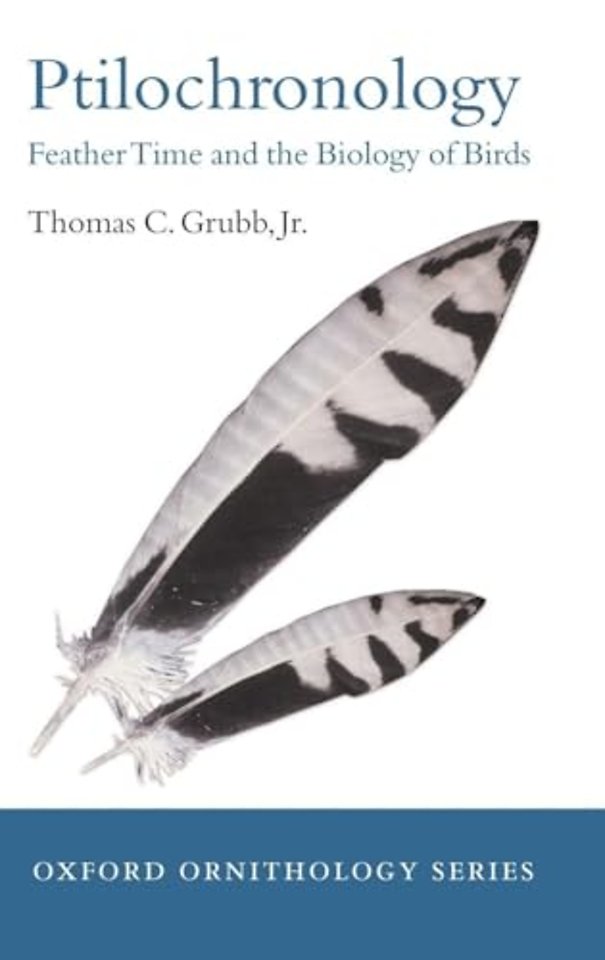 Ptilochronology
