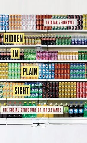 Hidden in Plain Sight