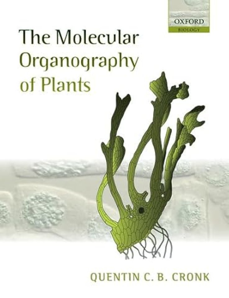 The Molecular Organography of Plants