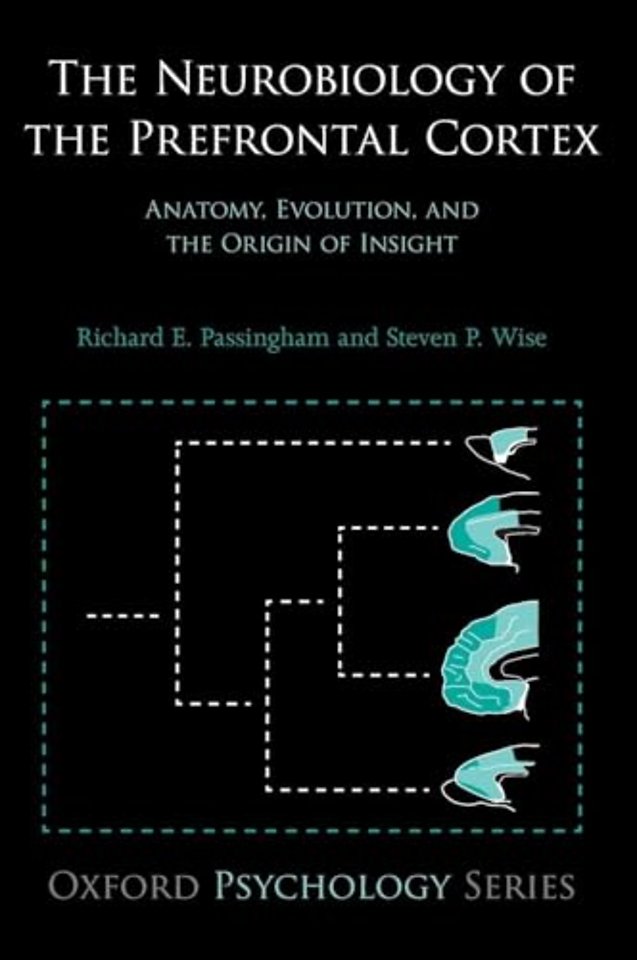 The Neurobiology of the Prefrontal Cortex