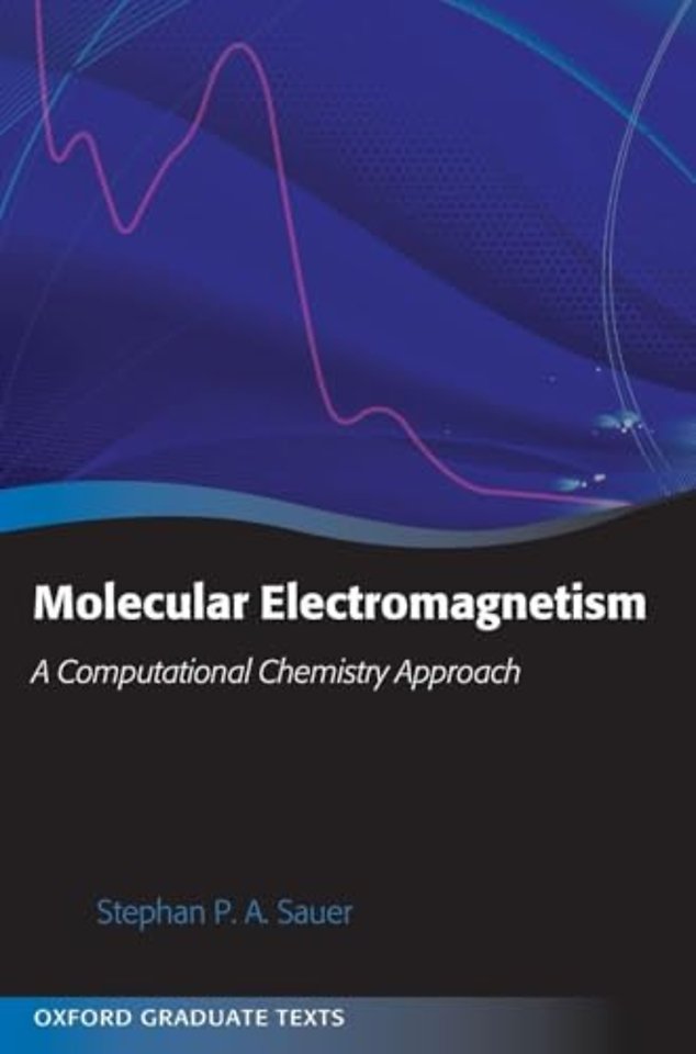 Molecular Electromagnetism: A Computational Chemistry Approach