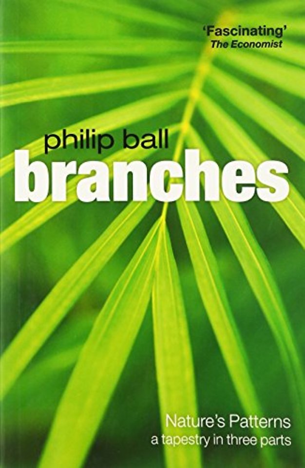 Branches