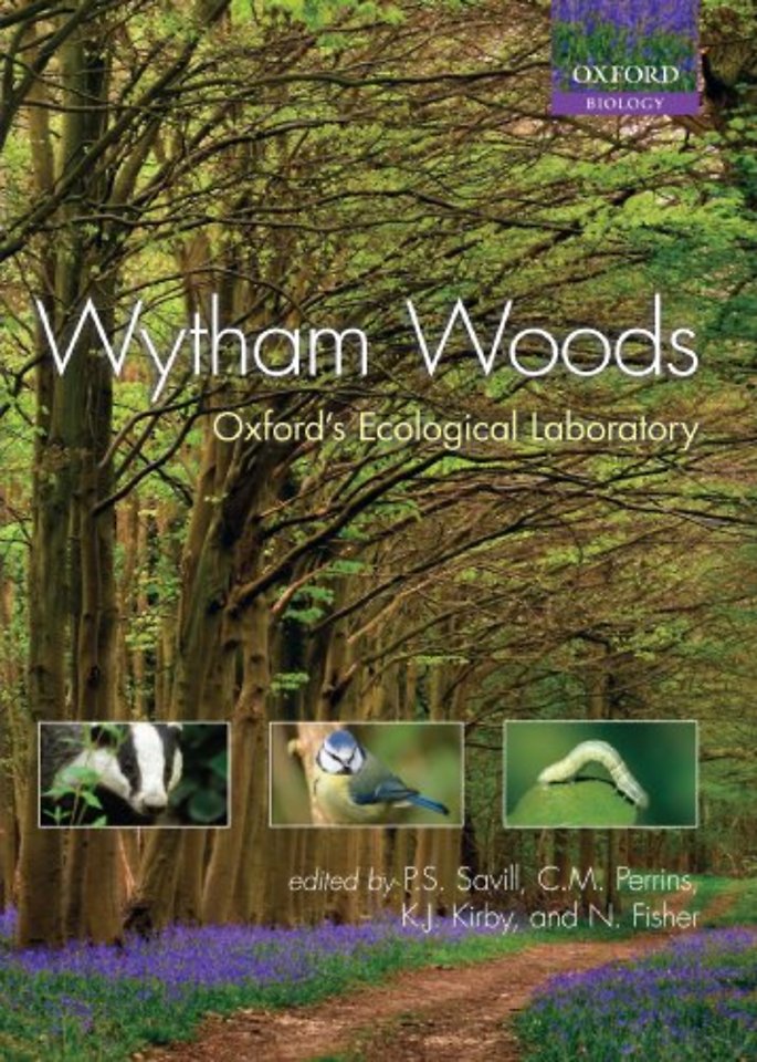 Wytham Woods