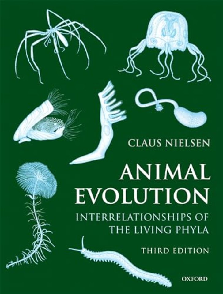Animal Evolution