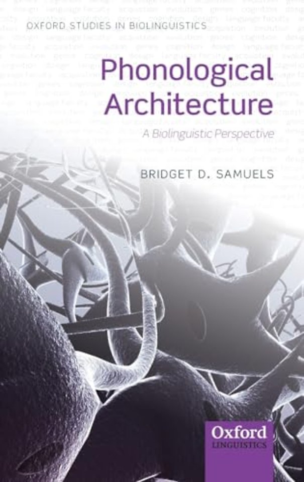 Phonological Architecture