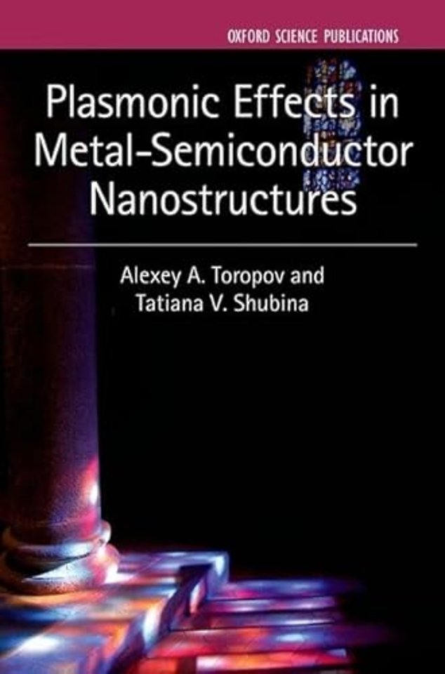 Plasmonic Effects in Metal-Semiconductor Nanostructures